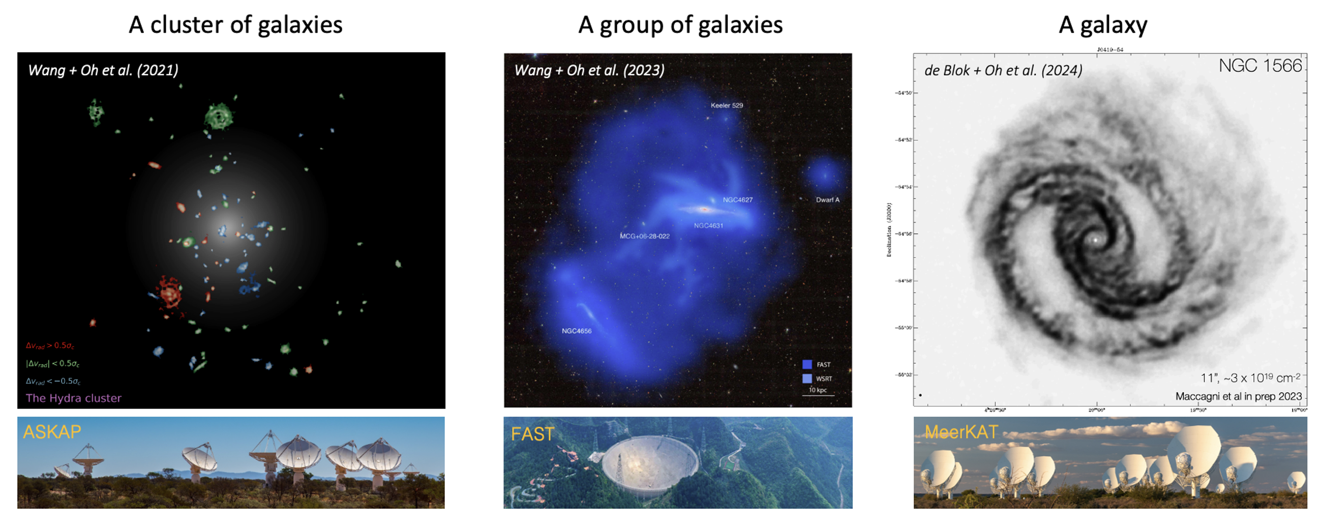 cma